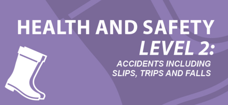 Accidents Including Slips, Trips and Falls (Health and Safety Level 2)